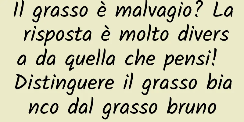 Il grasso è malvagio? La risposta è molto diversa da quella che pensi! Distinguere il grasso bianco dal grasso bruno