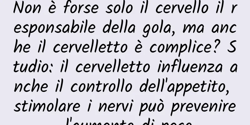 Non è forse solo il cervello il responsabile della gola, ma anche il cervelletto è complice? Studio: il cervelletto influenza anche il controllo dell'appetito, stimolare i nervi può prevenire l'aumento di peso