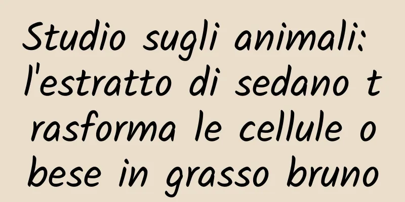 Studio sugli animali: l'estratto di sedano trasforma le cellule obese in grasso bruno