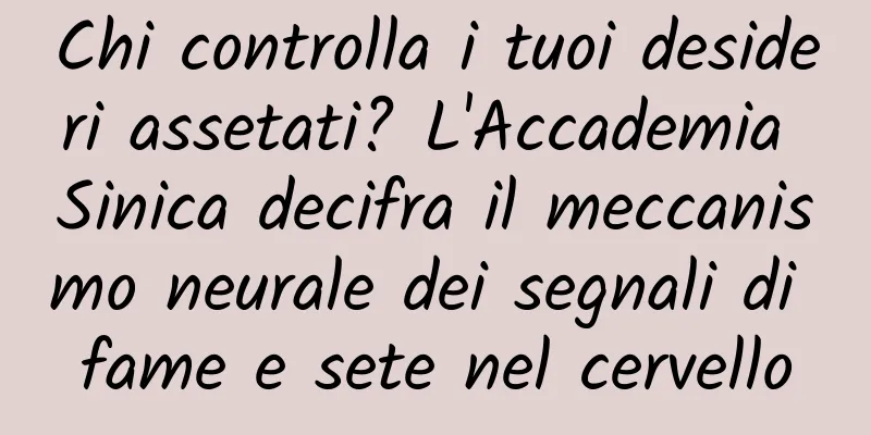 Chi controlla i tuoi desideri assetati? L'Accademia Sinica decifra il meccanismo neurale dei segnali di fame e sete nel cervello