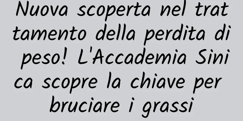 Nuova scoperta nel trattamento della perdita di peso! L'Accademia Sinica scopre la chiave per bruciare i grassi