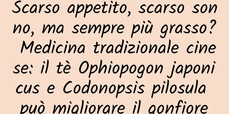 Scarso appetito, scarso sonno, ma sempre più grasso? Medicina tradizionale cinese: il tè Ophiopogon japonicus e Codonopsis pilosula può migliorare il gonfiore