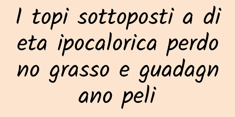 I topi sottoposti a dieta ipocalorica perdono grasso e guadagnano peli
