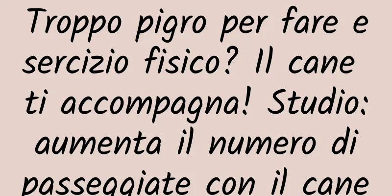 Troppo pigro per fare esercizio fisico? Il cane ti accompagna! Studio: aumenta il numero di passeggiate con il cane