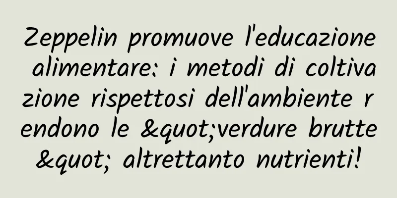 Zeppelin promuove l'educazione alimentare: i metodi di coltivazione rispettosi dell'ambiente rendono le "verdure brutte" altrettanto nutrienti!