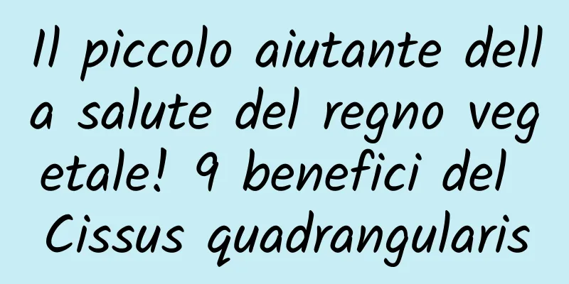 Il piccolo aiutante della salute del regno vegetale! 9 benefici del Cissus quadrangularis
