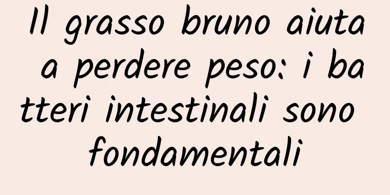 Il grasso bruno aiuta a perdere peso: i batteri intestinali sono fondamentali