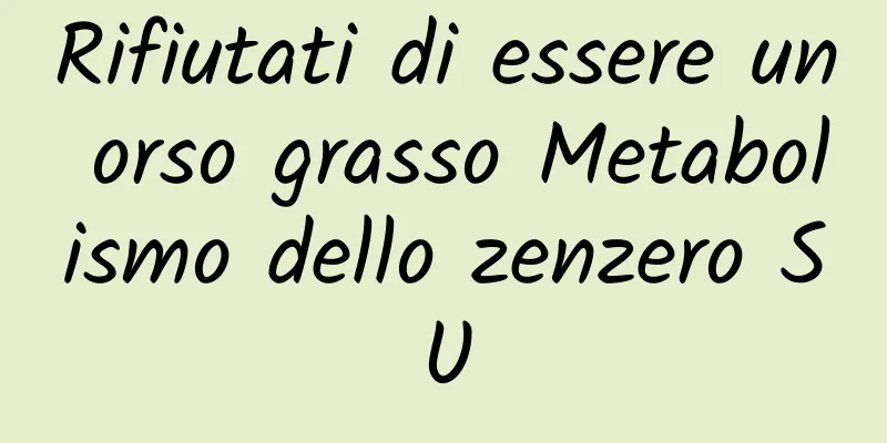 Rifiutati di essere un orso grasso Metabolismo dello zenzero SU