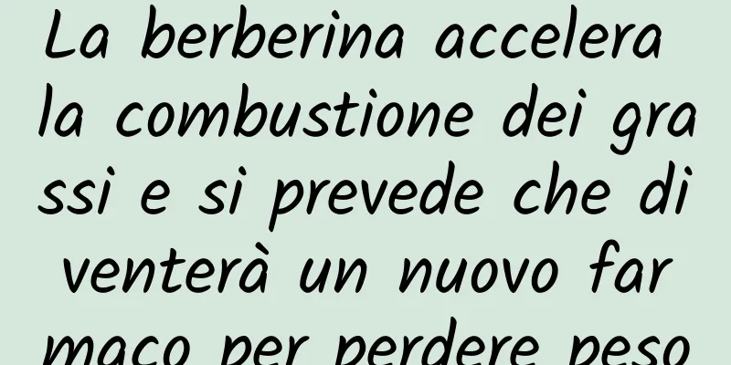 La berberina accelera la combustione dei grassi e si prevede che diventerà un nuovo farmaco per perdere peso
