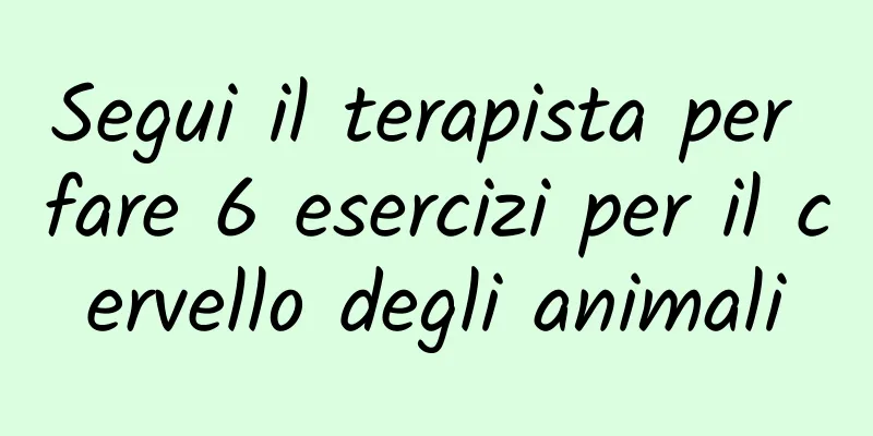 Segui il terapista per fare 6 esercizi per il cervello degli animali