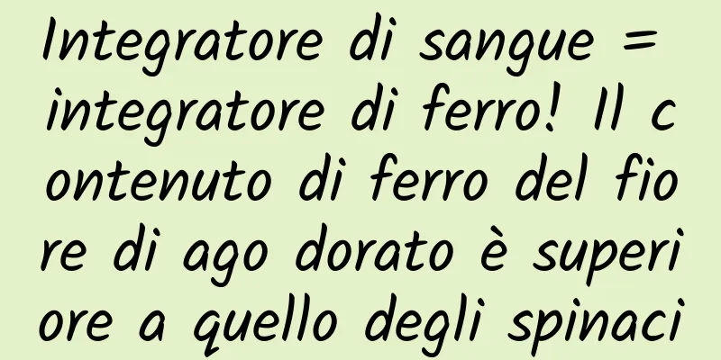 Integratore di sangue = integratore di ferro! Il contenuto di ferro del fiore di ago dorato è superiore a quello degli spinaci
