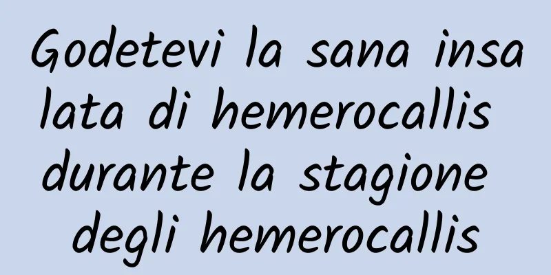 Godetevi la sana insalata di hemerocallis durante la stagione degli hemerocallis