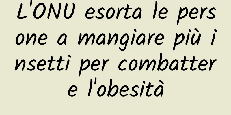 L'ONU esorta le persone a mangiare più insetti per combattere l'obesità