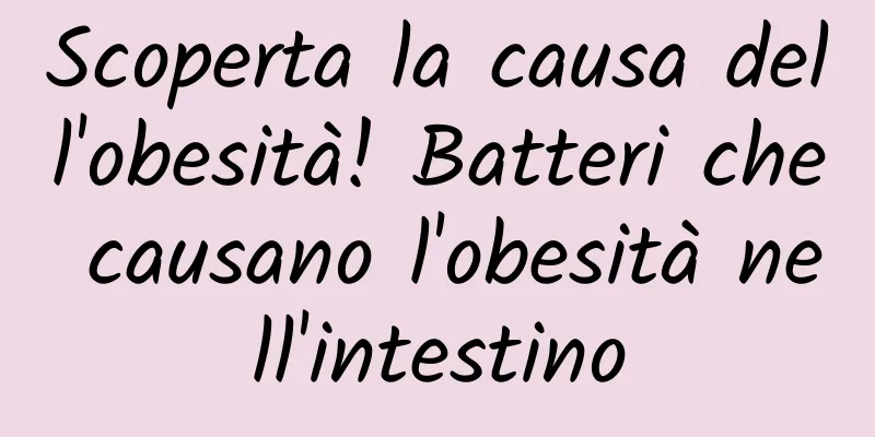 Scoperta la causa dell'obesità! Batteri che causano l'obesità nell'intestino