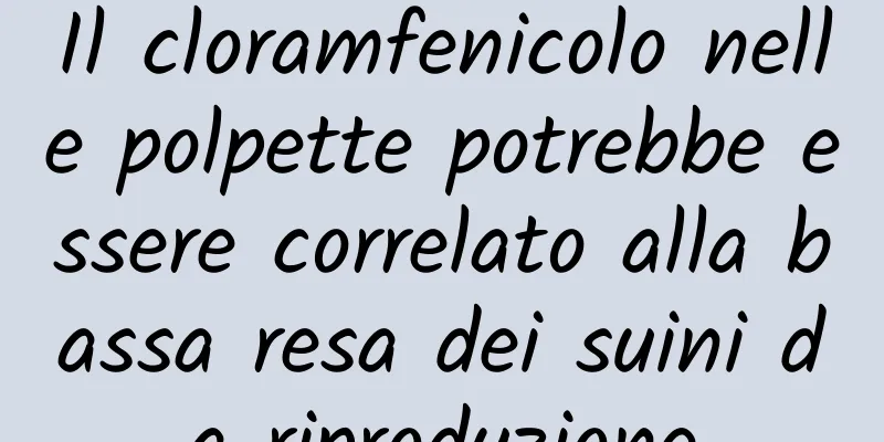 Il cloramfenicolo nelle polpette potrebbe essere correlato alla bassa resa dei suini da riproduzione