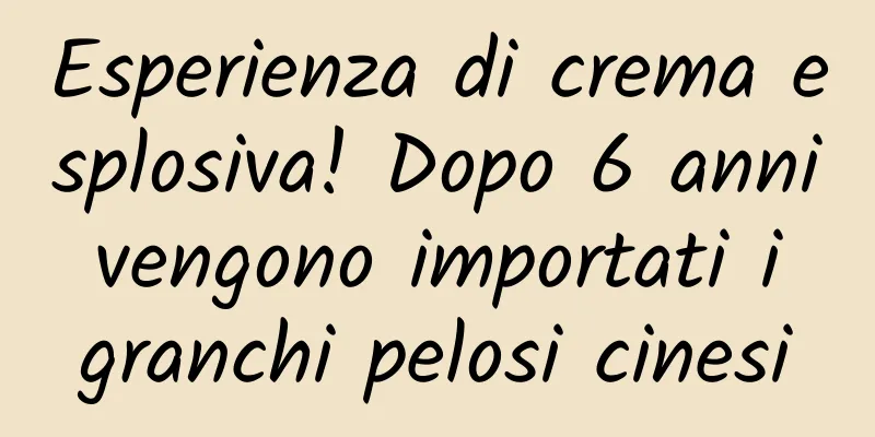 Esperienza di crema esplosiva! Dopo 6 anni vengono importati i granchi pelosi cinesi