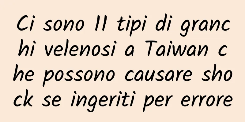 Ci sono 11 tipi di granchi velenosi a Taiwan che possono causare shock se ingeriti per errore