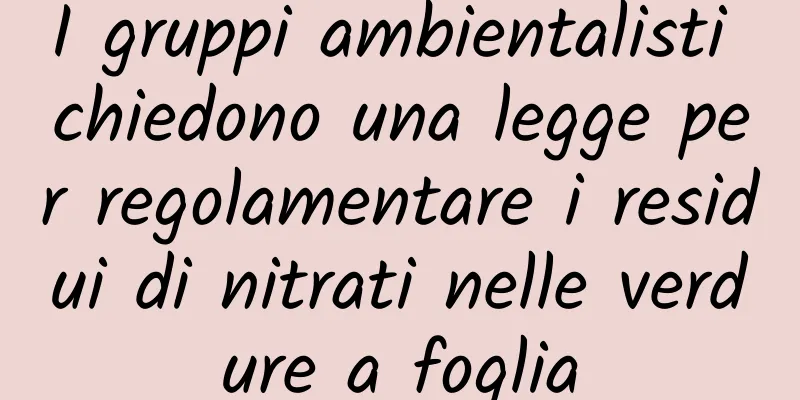 I gruppi ambientalisti chiedono una legge per regolamentare i residui di nitrati nelle verdure a foglia