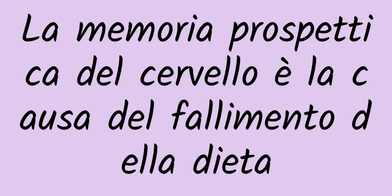 La memoria prospettica del cervello è la causa del fallimento della dieta
