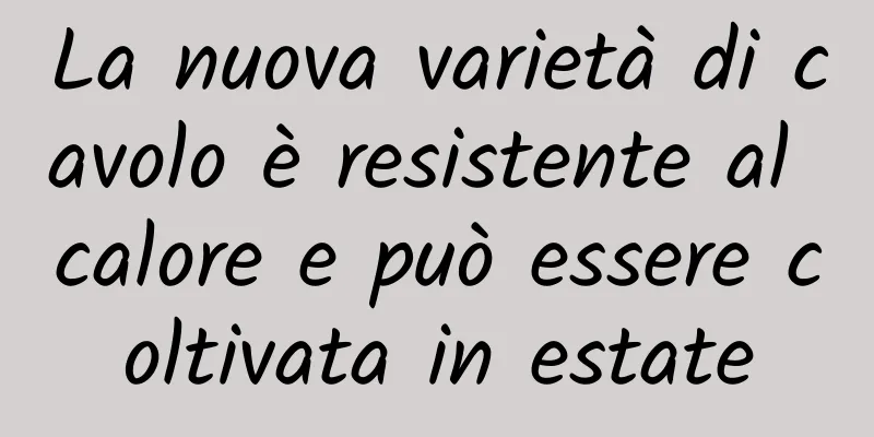 La nuova varietà di cavolo è resistente al calore e può essere coltivata in estate