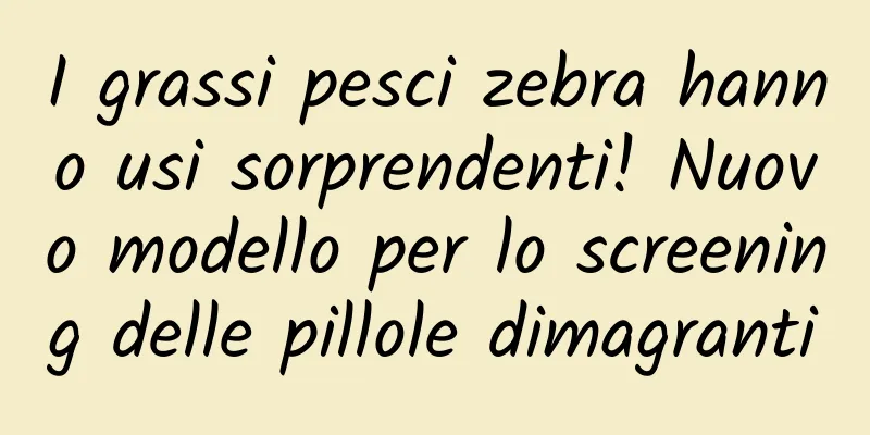 I grassi pesci zebra hanno usi sorprendenti! Nuovo modello per lo screening delle pillole dimagranti