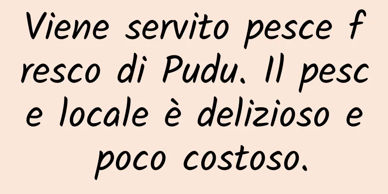 Viene servito pesce fresco di Pudu. Il pesce locale è delizioso e poco costoso.