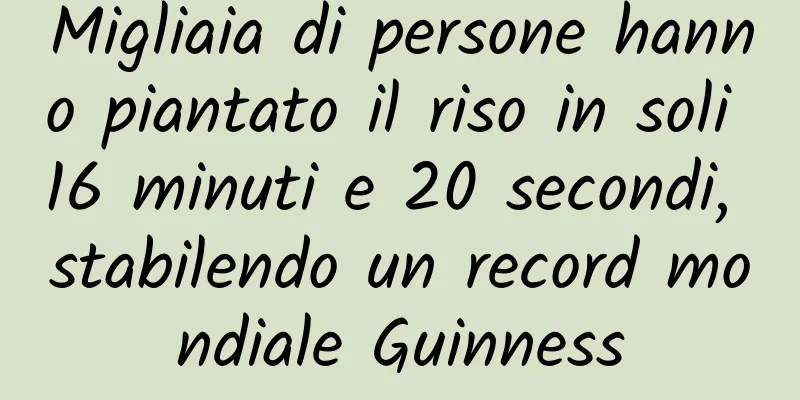 Migliaia di persone hanno piantato il riso in soli 16 minuti e 20 secondi, stabilendo un record mondiale Guinness