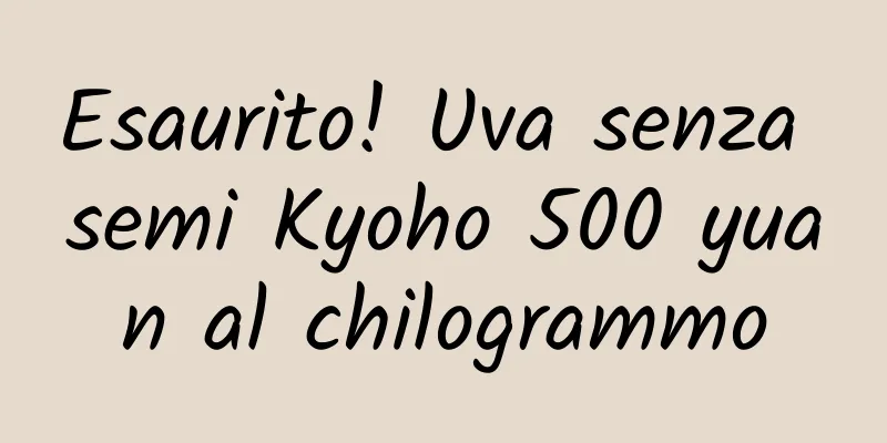 Esaurito! Uva senza semi Kyoho 500 yuan al chilogrammo