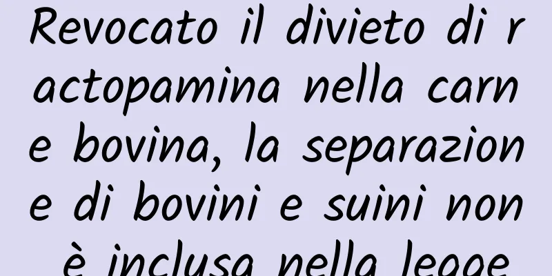Revocato il divieto di ractopamina nella carne bovina, la separazione di bovini e suini non è inclusa nella legge