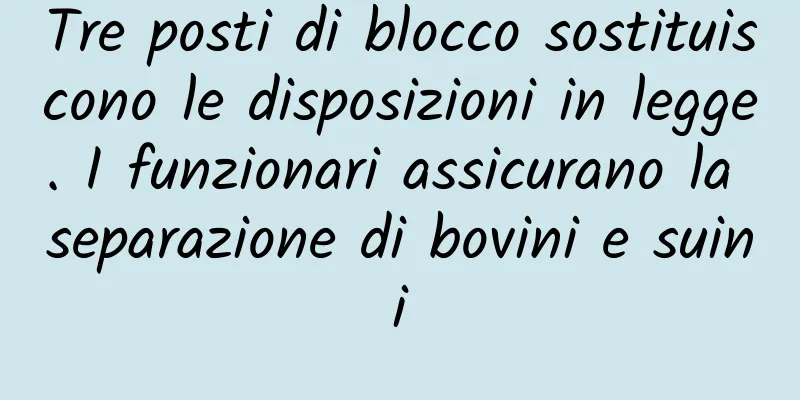 Tre posti di blocco sostituiscono le disposizioni in legge. I funzionari assicurano la separazione di bovini e suini