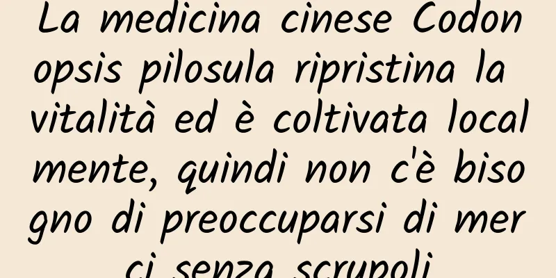 La medicina cinese Codonopsis pilosula ripristina la vitalità ed è coltivata localmente, quindi non c'è bisogno di preoccuparsi di merci senza scrupoli