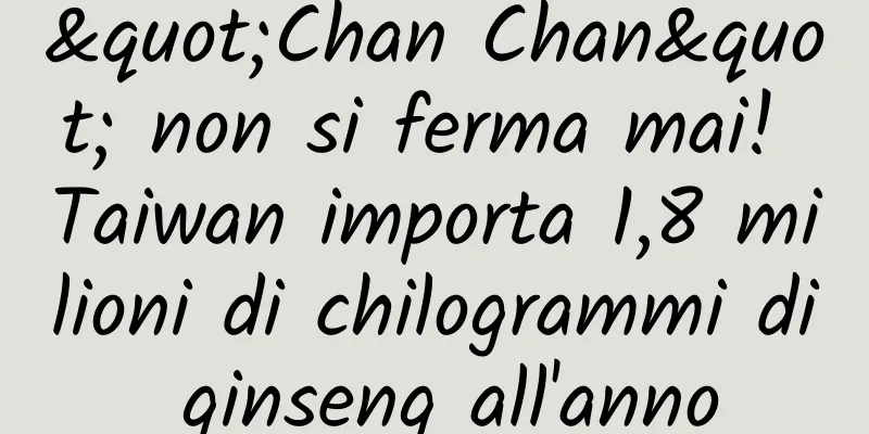 "Chan Chan" non si ferma mai! Taiwan importa 1,8 milioni di chilogrammi di ginseng all'anno