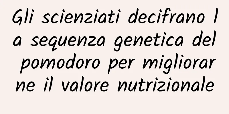 Gli scienziati decifrano la sequenza genetica del pomodoro per migliorarne il valore nutrizionale