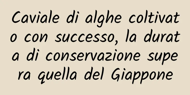 Caviale di alghe coltivato con successo, la durata di conservazione supera quella del Giappone