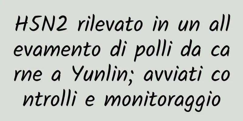 H5N2 rilevato in un allevamento di polli da carne a Yunlin; avviati controlli e monitoraggio