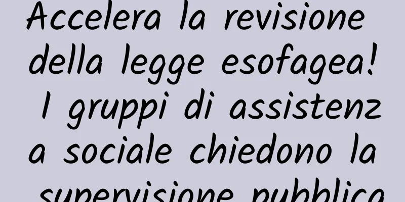 Accelera la revisione della legge esofagea! I gruppi di assistenza sociale chiedono la supervisione pubblica