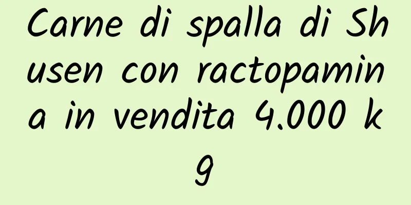 Carne di spalla di Shusen con ractopamina in vendita 4.000 kg