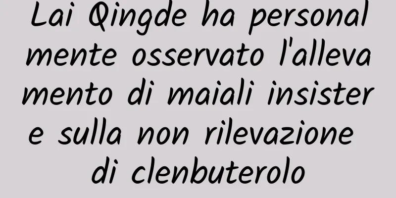 Lai Qingde ha personalmente osservato l'allevamento di maiali insistere sulla non rilevazione di clenbuterolo