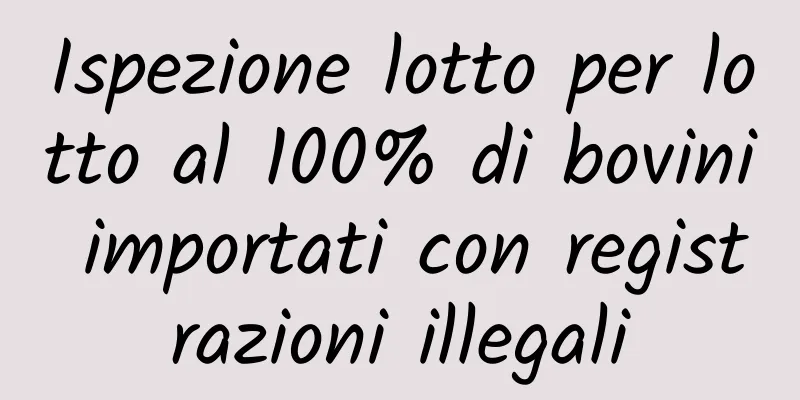 Ispezione lotto per lotto al 100% di bovini importati con registrazioni illegali