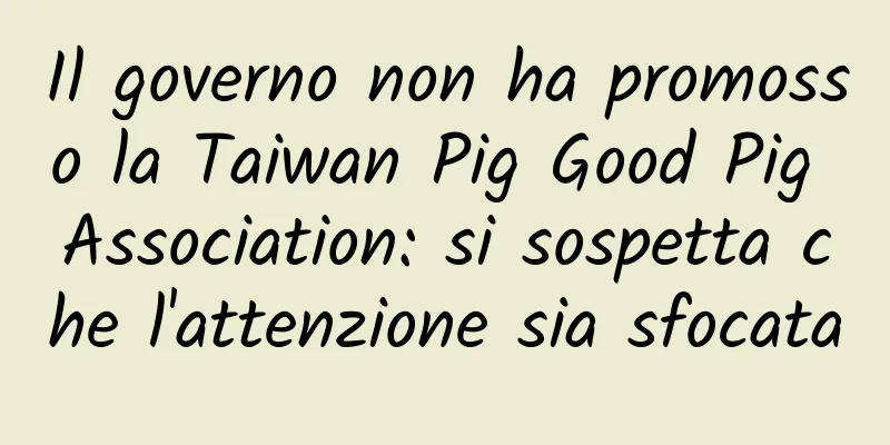 Il governo non ha promosso la Taiwan Pig Good Pig Association: si sospetta che l'attenzione sia sfocata