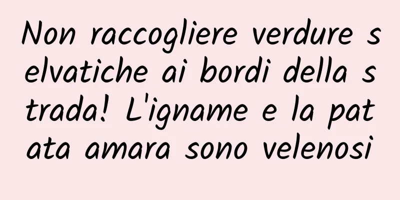 Non raccogliere verdure selvatiche ai bordi della strada! L'igname e la patata amara sono velenosi