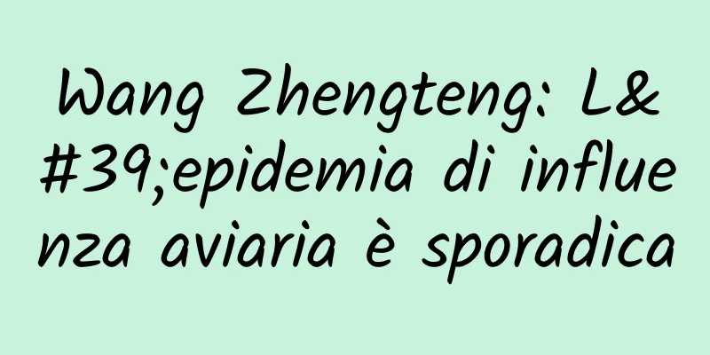 Wang Zhengteng: L'epidemia di influenza aviaria è sporadica