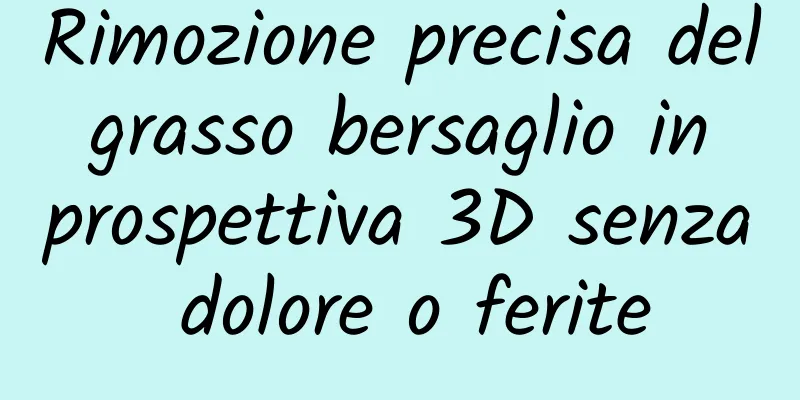 Rimozione precisa del grasso bersaglio in prospettiva 3D senza dolore o ferite