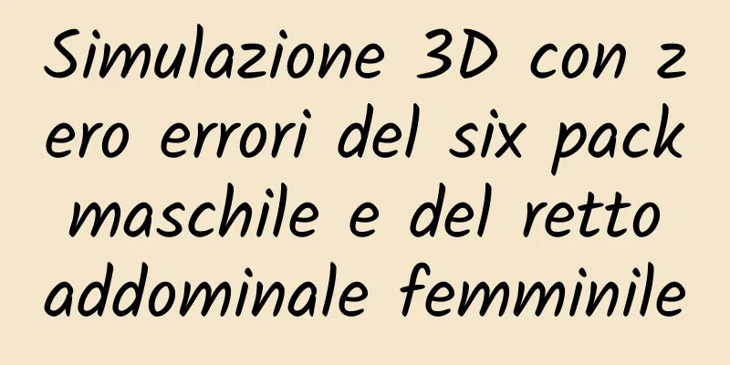 Simulazione 3D con zero errori del six pack maschile e del retto addominale femminile