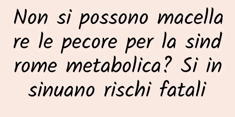 Non si possono macellare le pecore per la sindrome metabolica? Si insinuano rischi fatali