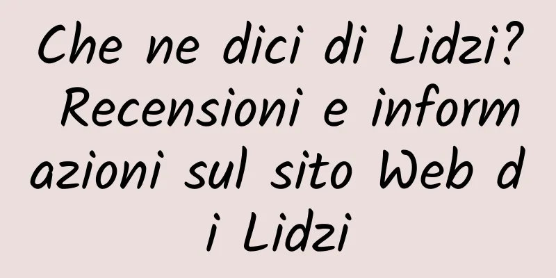 Che ne dici di Lidzi? Recensioni e informazioni sul sito Web di Lidzi