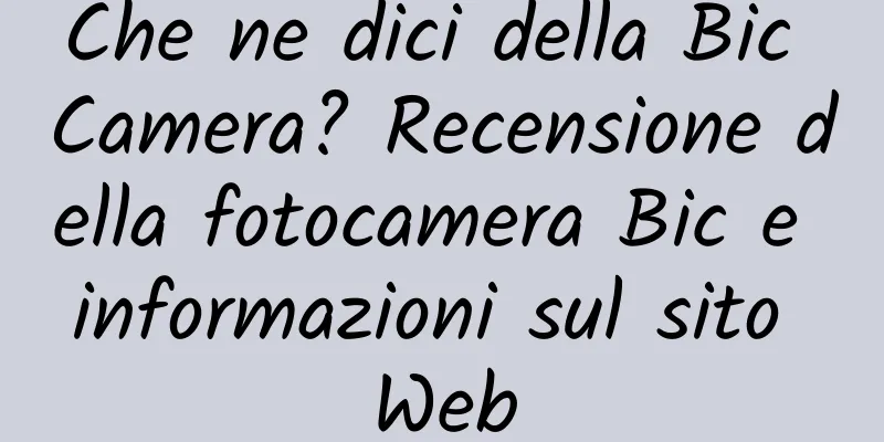 Che ne dici della Bic Camera? Recensione della fotocamera Bic e informazioni sul sito Web