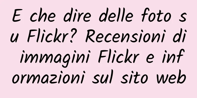 E che dire delle foto su Flickr? Recensioni di immagini Flickr e informazioni sul sito web