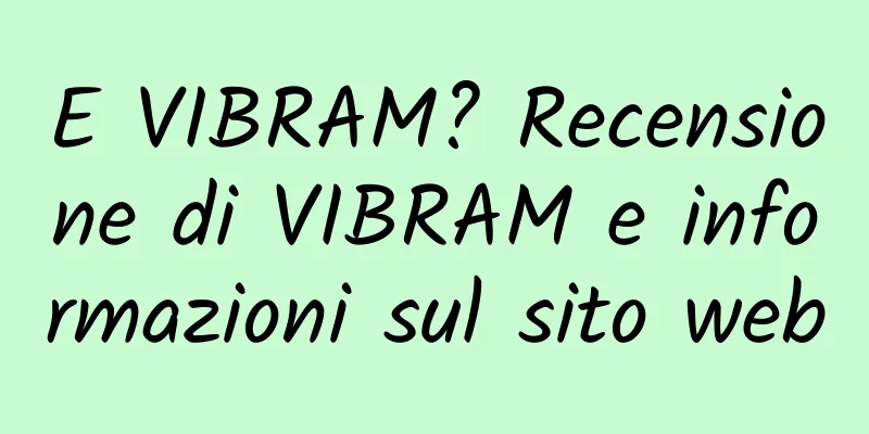 E VIBRAM? Recensione di VIBRAM e informazioni sul sito web