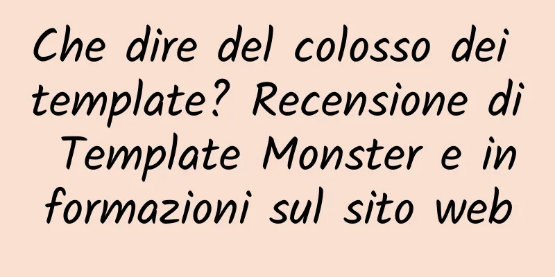 Che dire del colosso dei template? Recensione di Template Monster e informazioni sul sito web